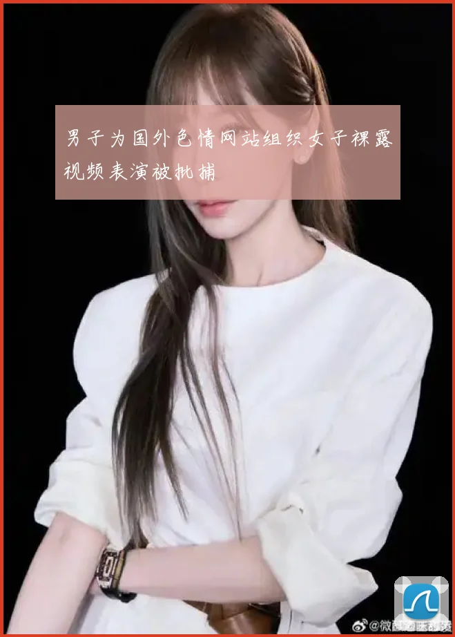 男子为国外色情网站组织女子裸露视频表演被批捕