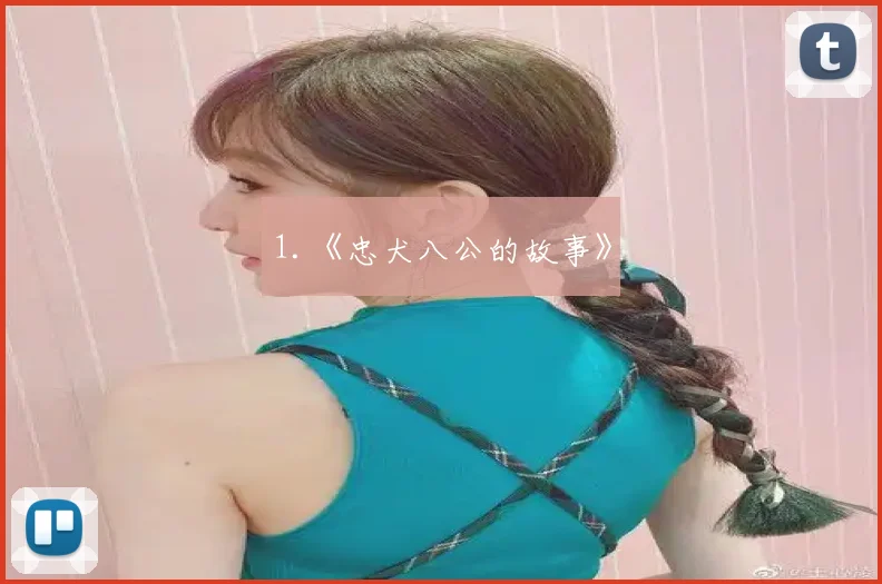 1.《忠犬八公的故事》