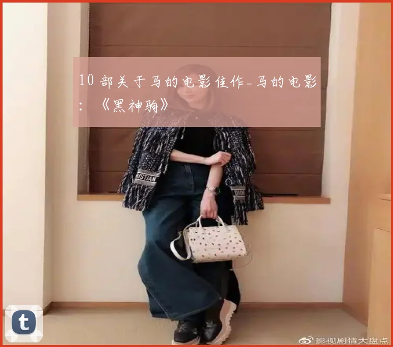 10 部关于马的电影佳作_马的电影：《黑神驹》