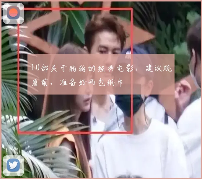 10部关于狗狗的经典电影，建议观看前，准备好两包纸巾
