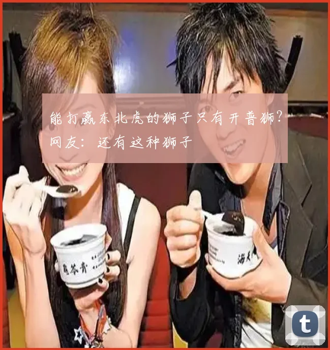 能打赢东北虎的狮子只有开普狮？网友：还有这种狮子