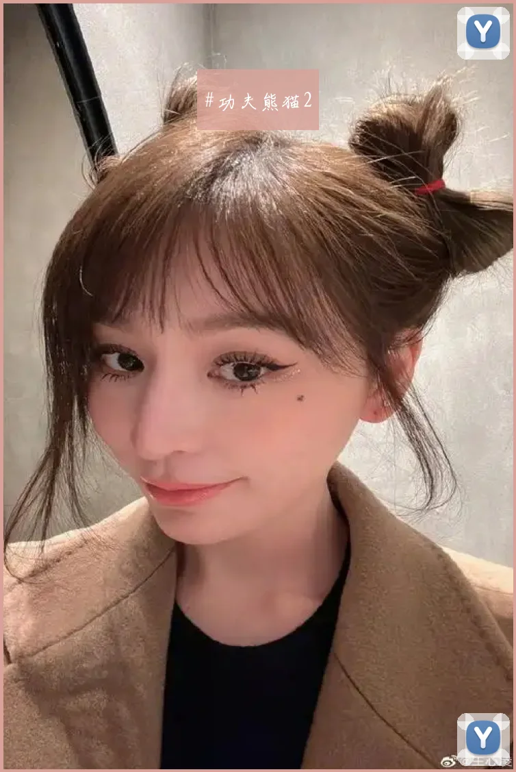 #功夫熊猫2