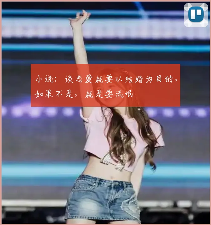 小说:谈恋爱就要以结婚为目的,如果不是,就是耍流氓