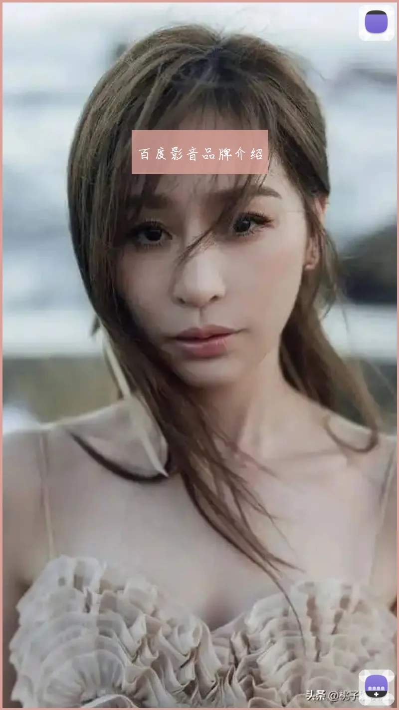 百度影音品牌介绍