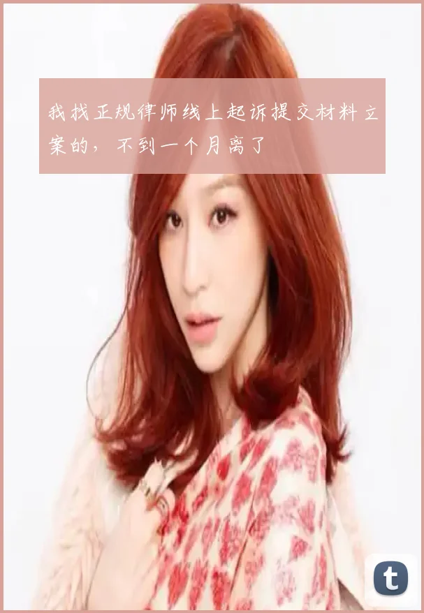 我找正规律师线上起诉提交材料立案的,不到一个月离了