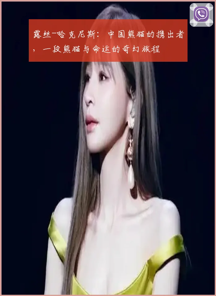 露丝-哈克尼斯：中国熊猫的携出者，一段熊猫与命运的奇幻旅程