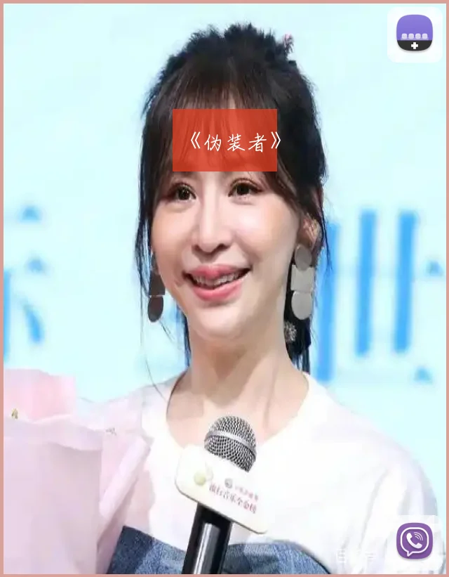 《伪装者》