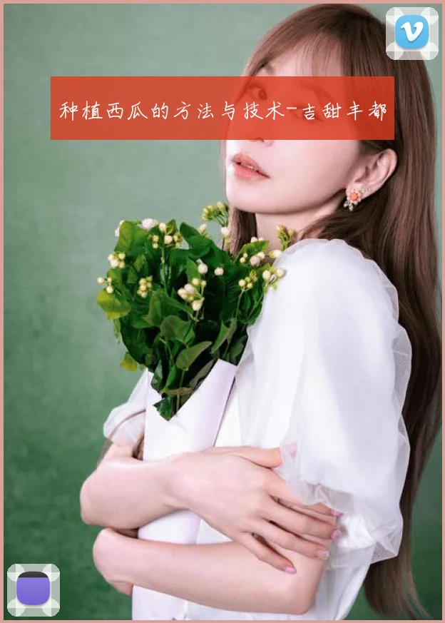 种植西瓜的方法与技术-吉甜丰都