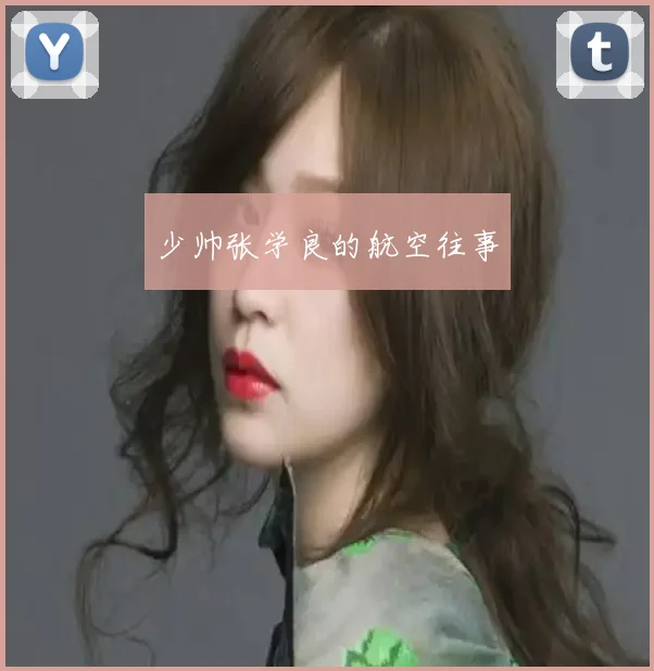 少帅张学良的航空往事