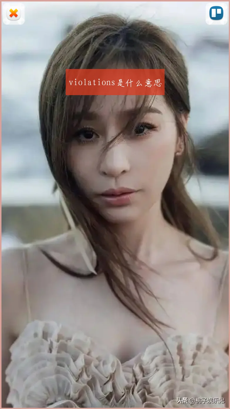 violations是什么意思