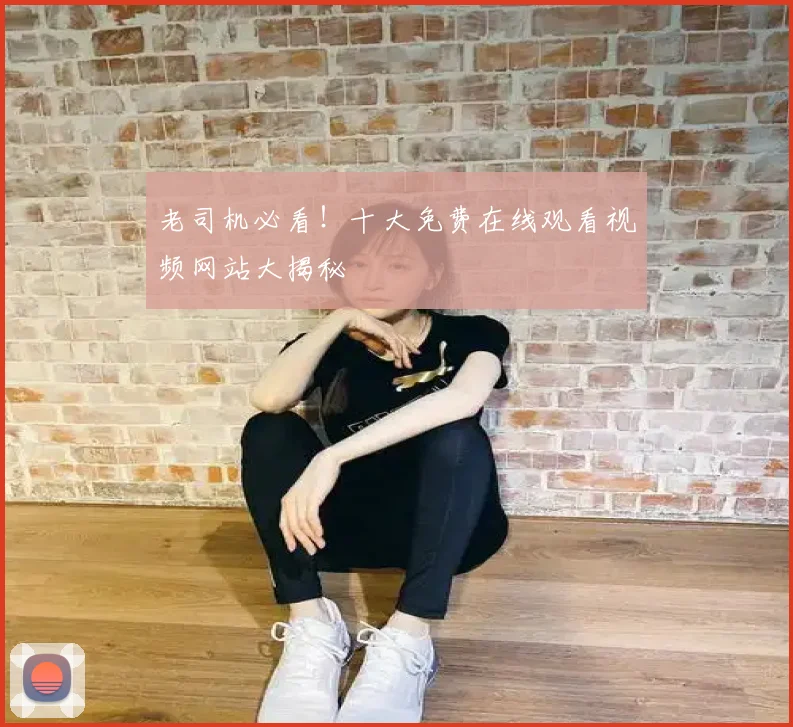 老司机必看!十大免费在线观看视频网站大揭秘