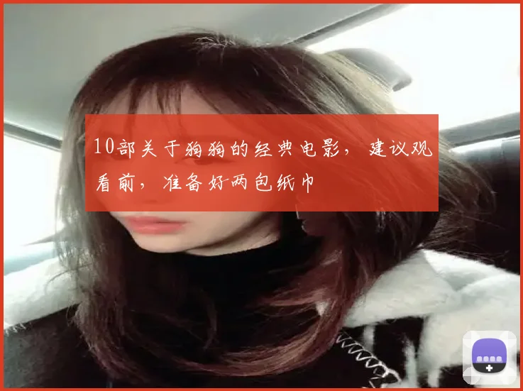 10部关于狗狗的经典电影，建议观看前，准备好两包纸巾