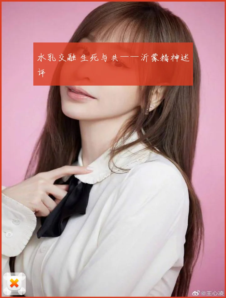 水乳交融 生死与共——沂蒙精神述评