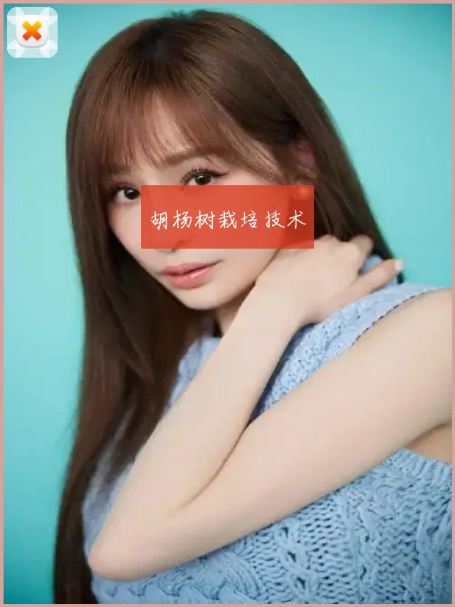 胡杨树栽培技术