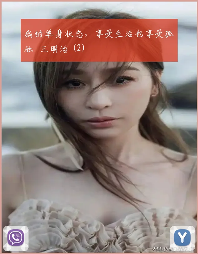 我的单身状态,享受生活也享受孤独 三明治 (2)