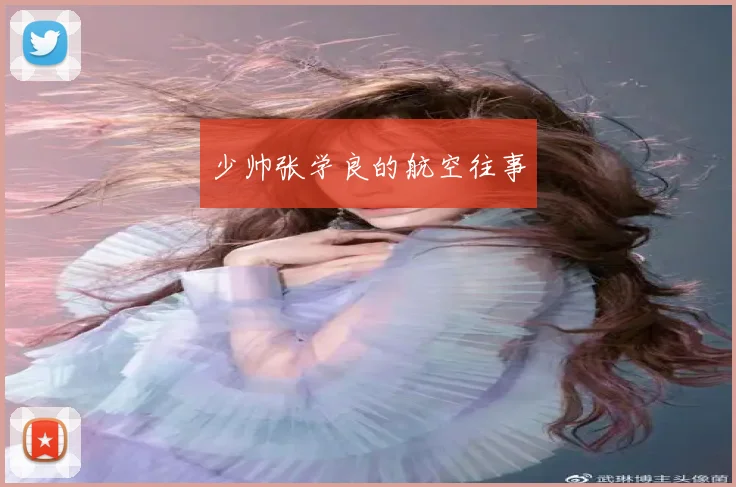 少帅张学良的航空往事
