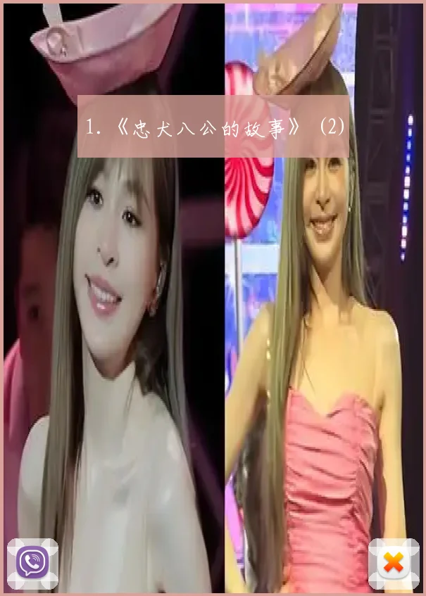 1.《忠犬八公的故事》 (2)