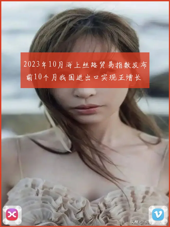 2023年10月海上丝路贸易指数发布 前10个月我国进出口实现正增长
