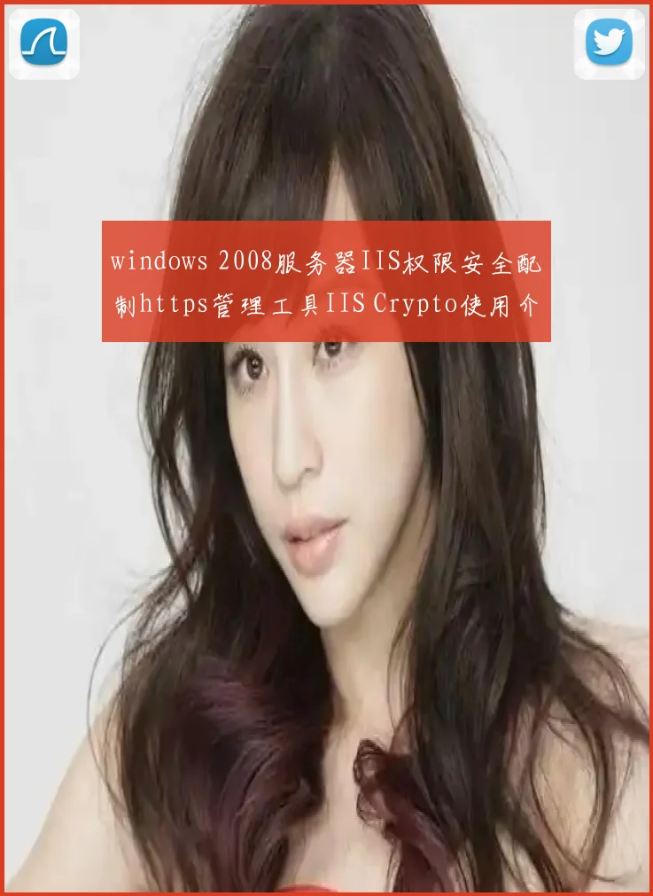 windows 2008服务器IIS权限安全配制https管理工具IIS Crypto使用介绍