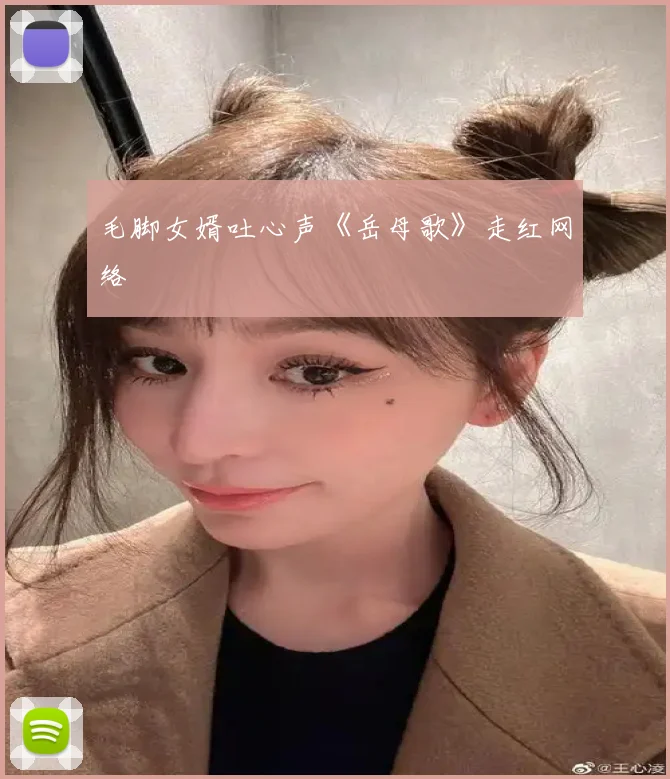 毛脚女婿吐心声《岳母歌》走红网络