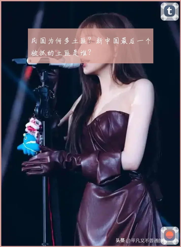 民国为何多土匪？新中国最后一个被抓的土匪是谁？