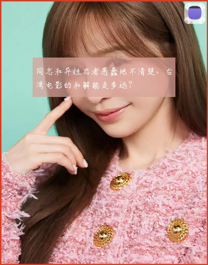 同志和异性恋者愚蠢地不清楚，台湾电影的和解能走多远？