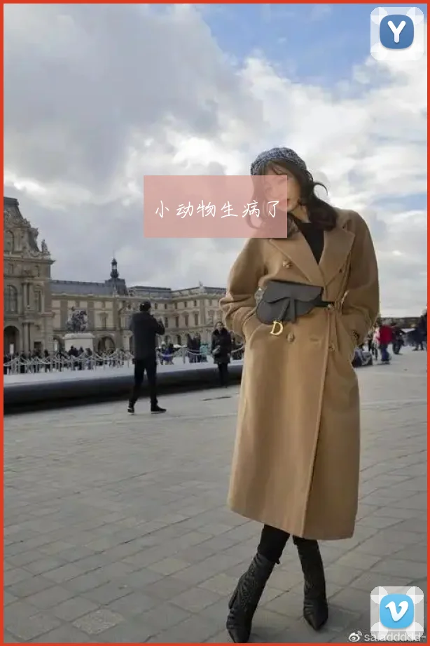 小动物生病了