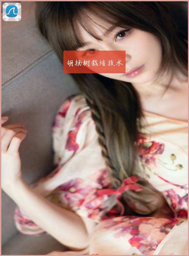 胡杨树栽培技术