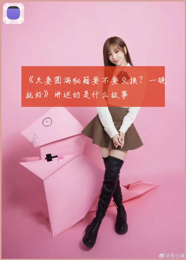 《夫妻圆满秘籍要不要交换?一晚就好》讲述的是什么故事