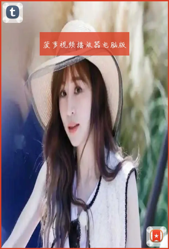 菠萝视频播放器电脑版